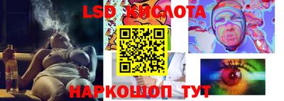 прущие грибы Лесосибирск