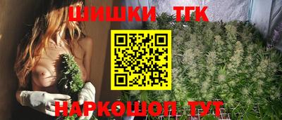 прущие грибы Лесосибирск