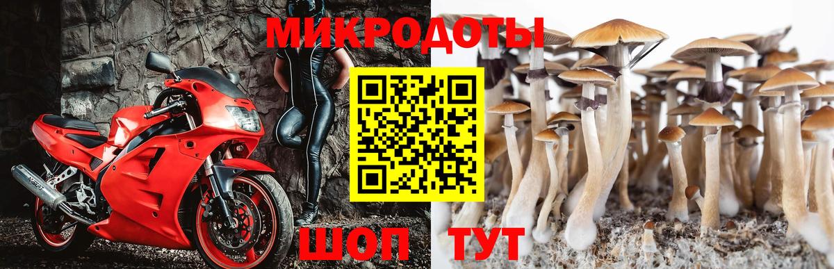 Псилоцибиновые грибы мицелий  Вход с VPN  Уссурийск 